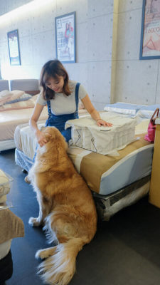 部落客在門市逗黃金獵犬